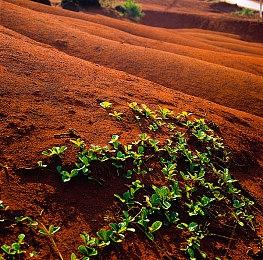 《收获日3》开发商：游戏旨在模仿“好莱坞大盗”之感